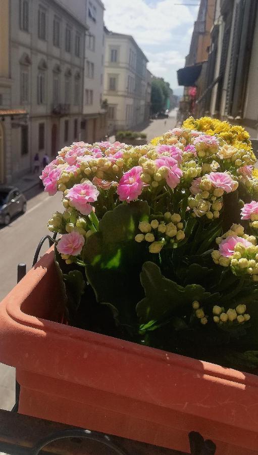 Residenza Il Maggio * Firenze