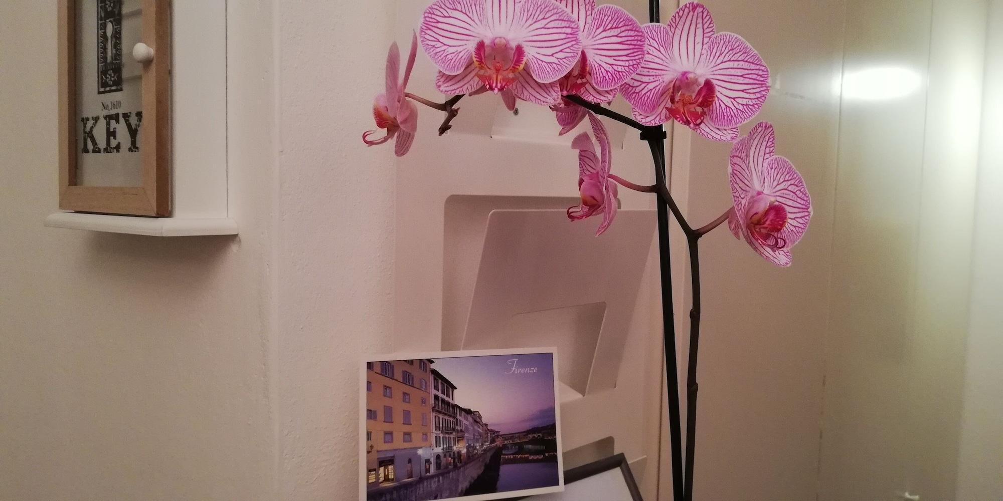Residenza Il Maggio *